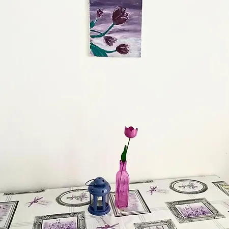 Studio Jozo Appartement